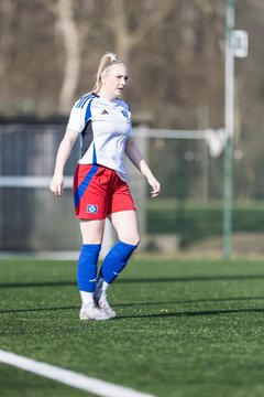 Bild 79 - F Hamburger SV 3 - Blau-Weiss 96 : Ergebnis: 5:1